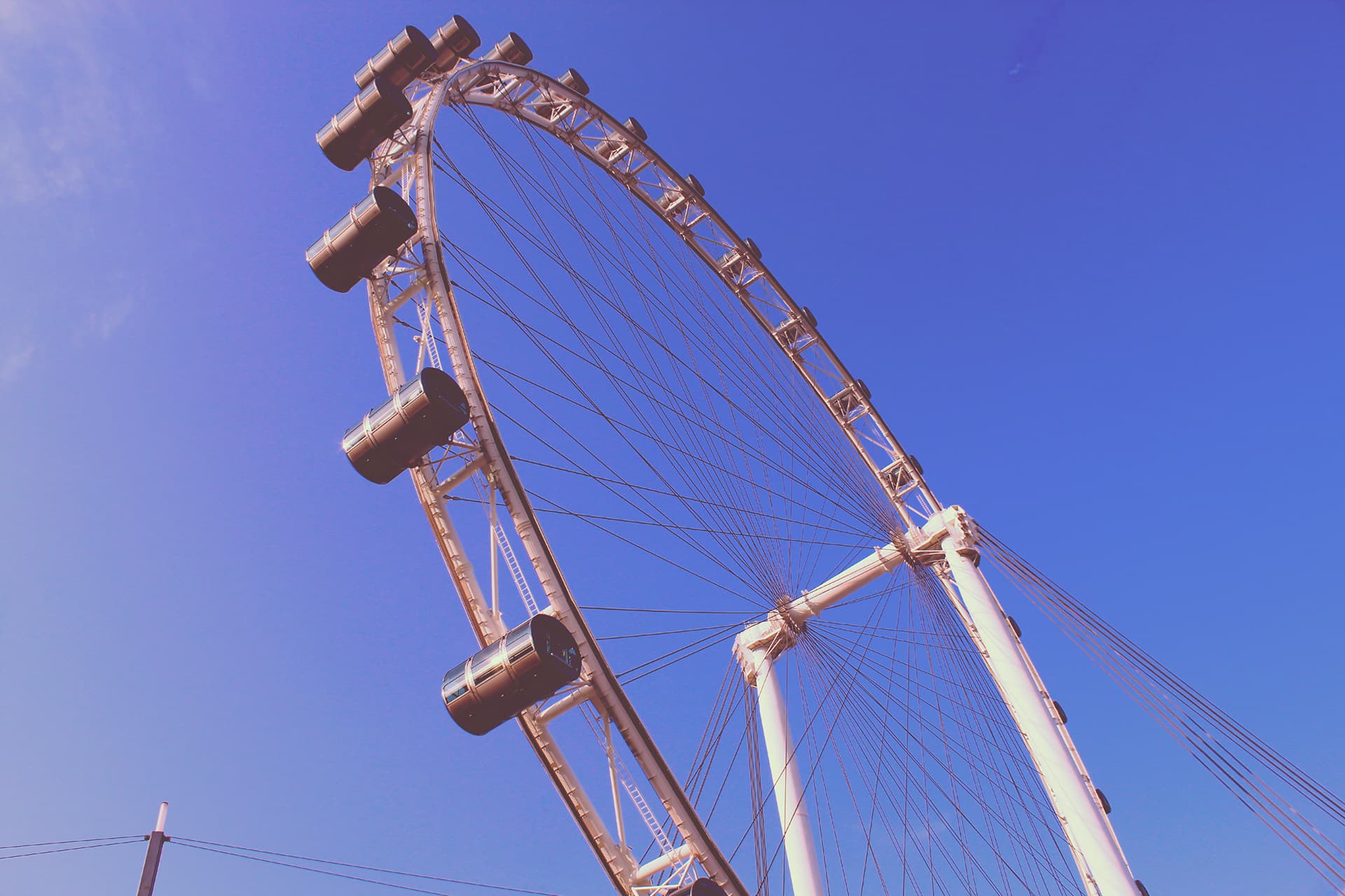 Singapore Eye